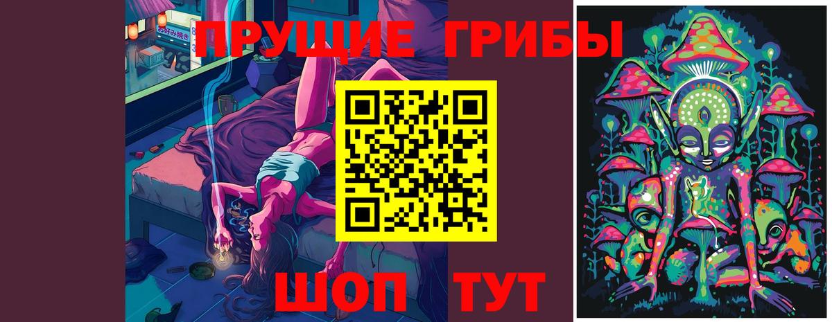 Галлюциногенные грибы GOLDEN TEACHER  Вход с VPN  Псилоцибиновые грибы MAGIC MUSHROOMS  Заводоуковск 